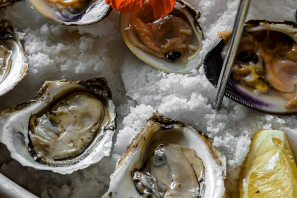 The image shows a plate of oysters on ice, garnished with a slice of lemon and an edible flower, likely ready to be served.