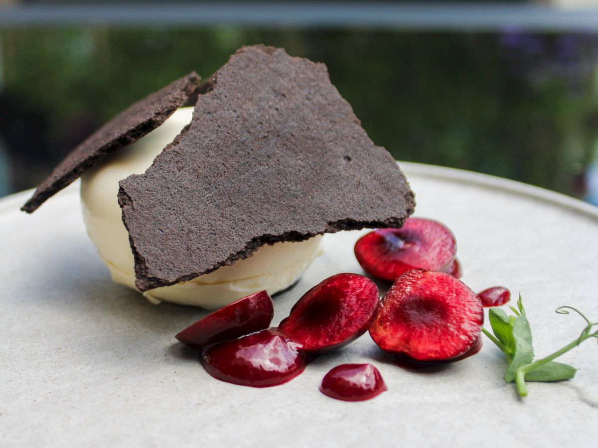 A gourmet dessert with chocolate, a scoop of ice cream, fresh cherries, and a garnish, artfully presented on a round plate.